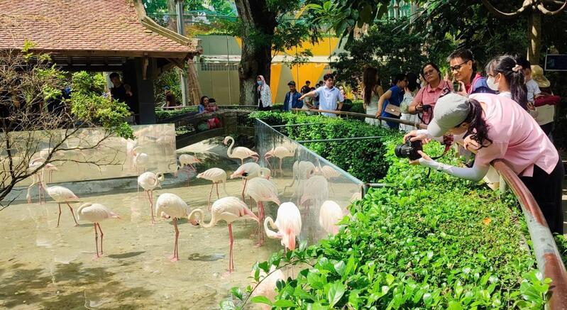 Thảo Cầm Viên - Điểm đến lý tưởng cho các gia đình