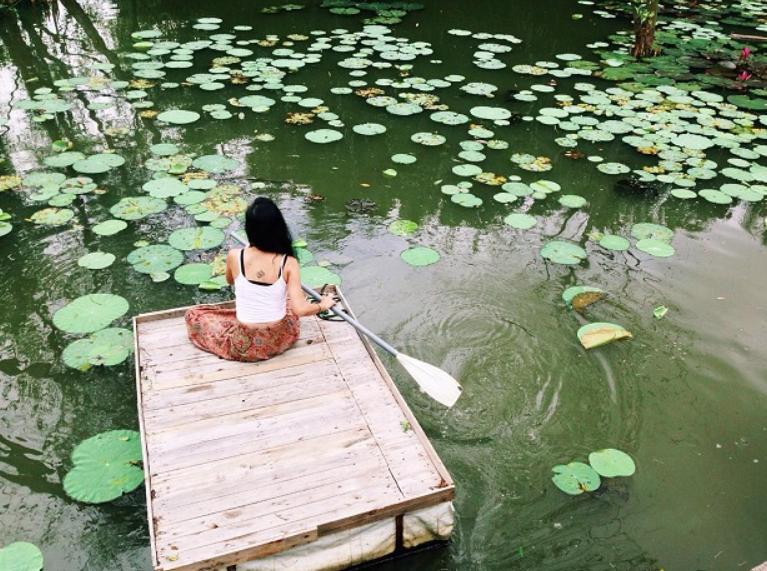 Chèo ở hồ sen xinh xắn giữa cánh đồng hoa