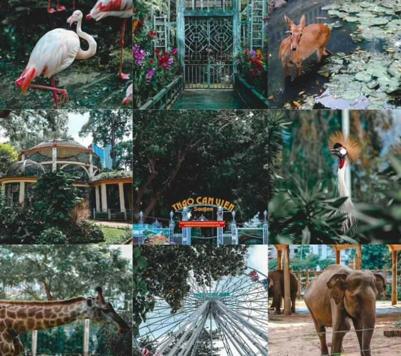 Ngắm muôn thú tại Thảo Cầm Viên